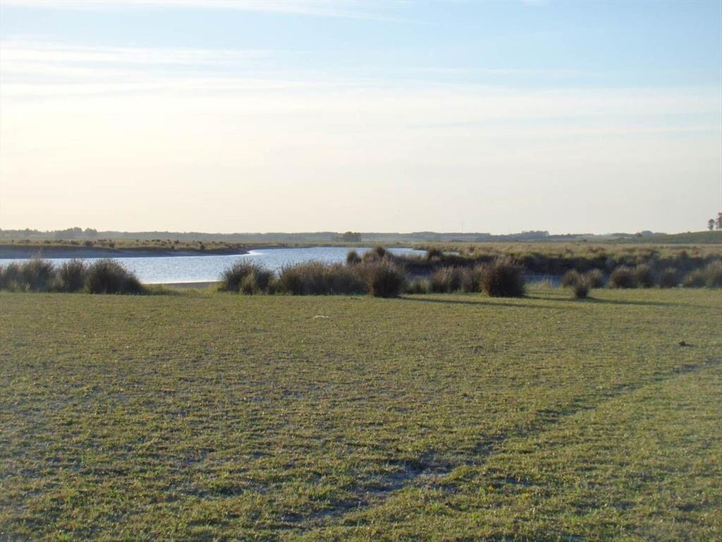 Venta de campo 76Has con costa