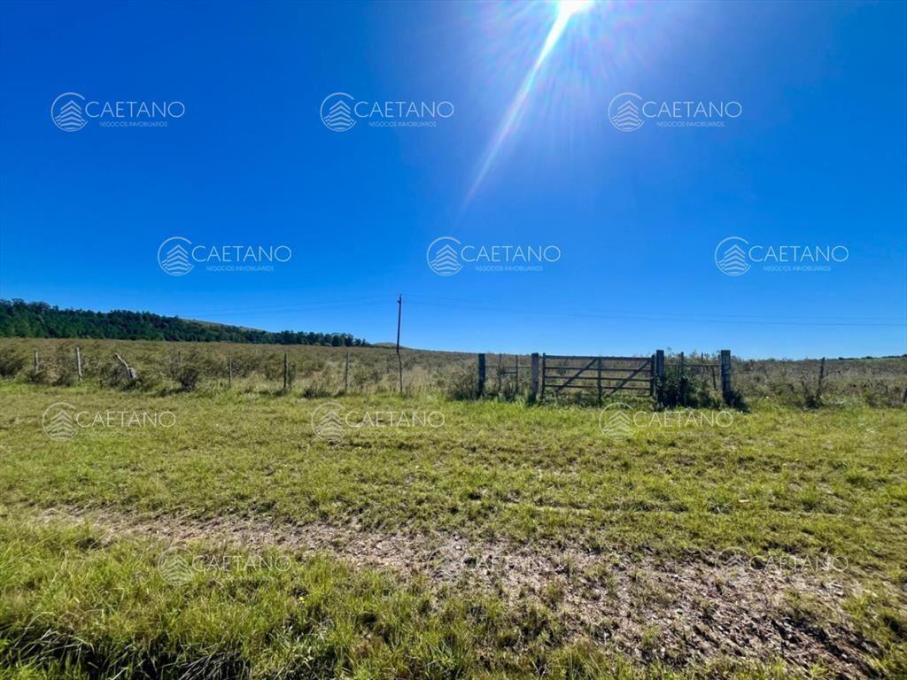 CHACRA EN VENTA LA PATAIA 10 HECTAREAS