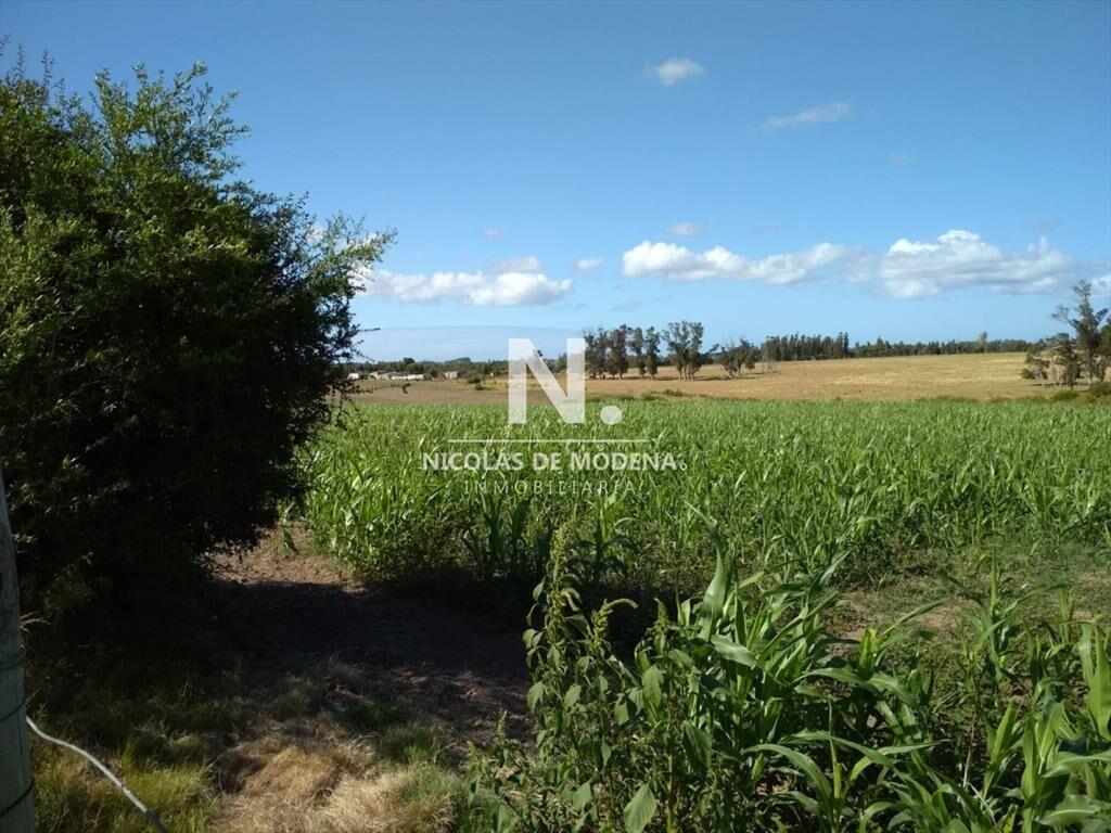Ruta 104 zona ideal para vivir todo el año