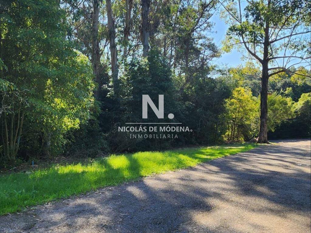 Vende terreno amplio de 4226 m2, en Las Cumbres-