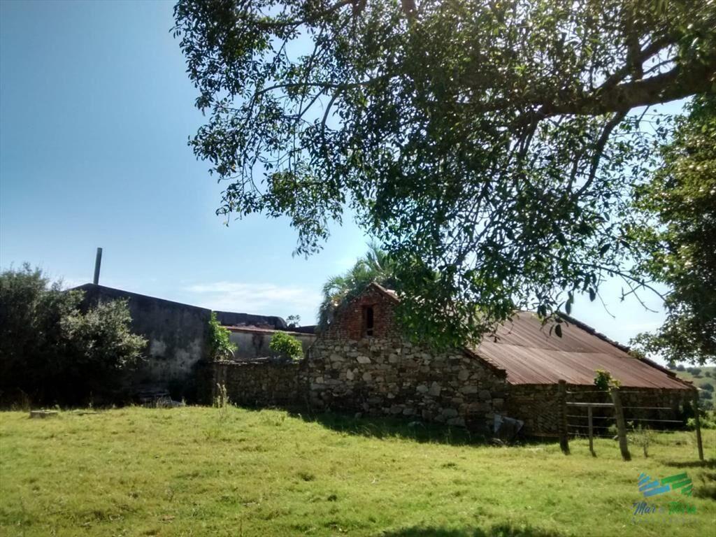 Pintoresco campo Ganadero muy bien ubicado.