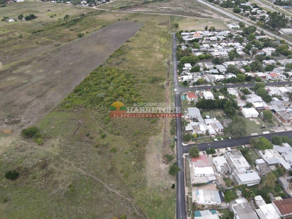 Jardín de Los Manzanos   - Terrenos en Progreso