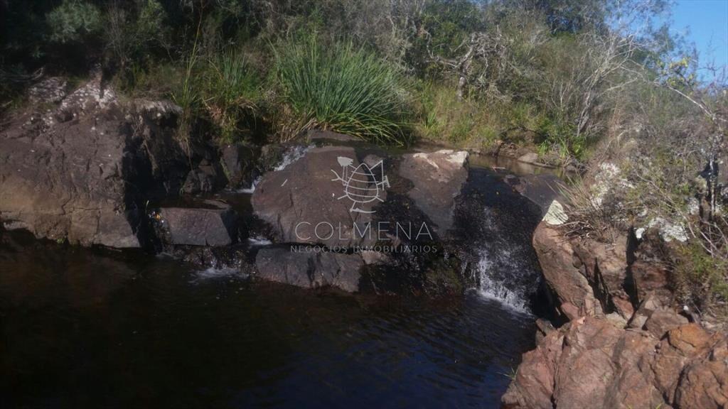 Campo 5 has con 333 m2 en paraje La Coronilla