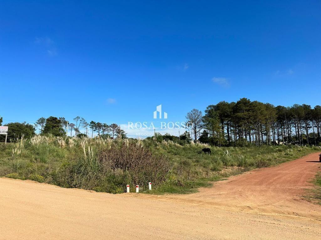 Terreno Venta Maldonado Altos de la Laguna