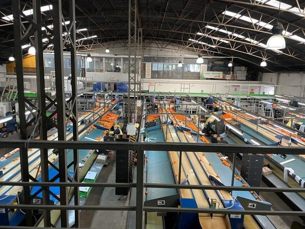 Planta Logística en Rio Negro
