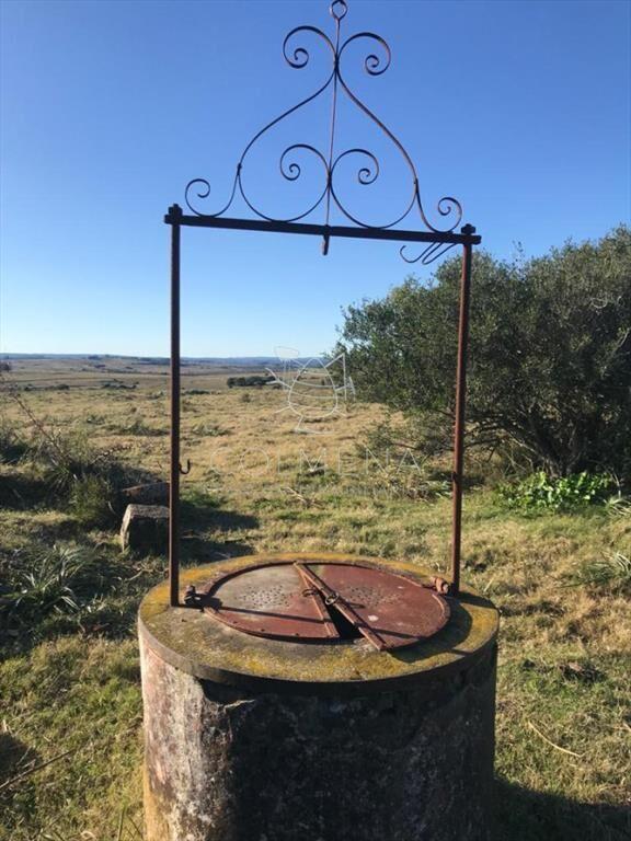 Campo 185 has - Paraje Paso de Dutra