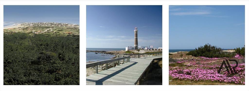 Terreno en venta de 1030m2 ubicado en José Ignacio