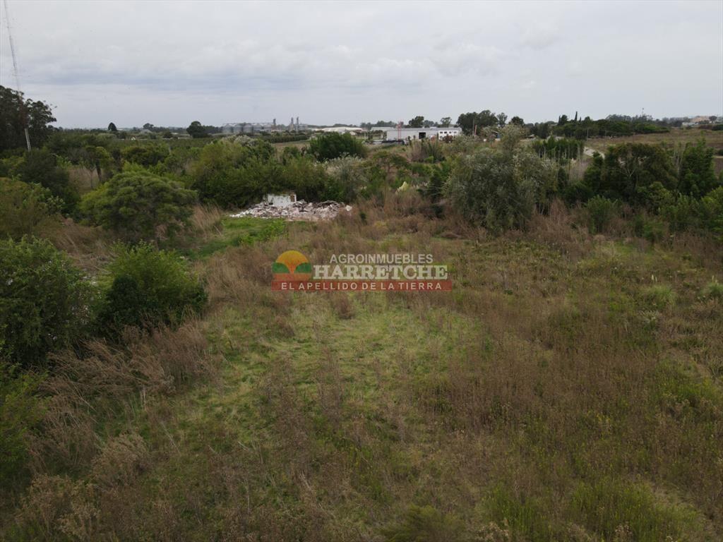 Terreno en Paso de la Arena, 15.789 m2, excelente