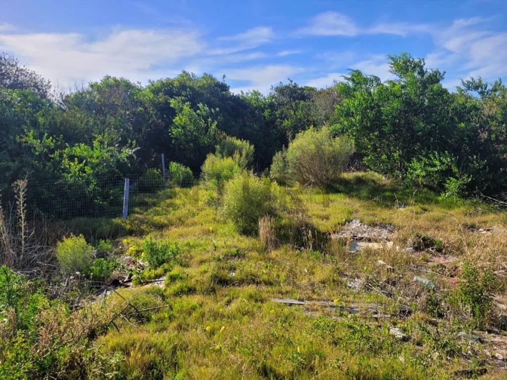 EN VENTA TERRENO EN PUNTA RUBIA!!! A 1 CUADRA DEL MAR
