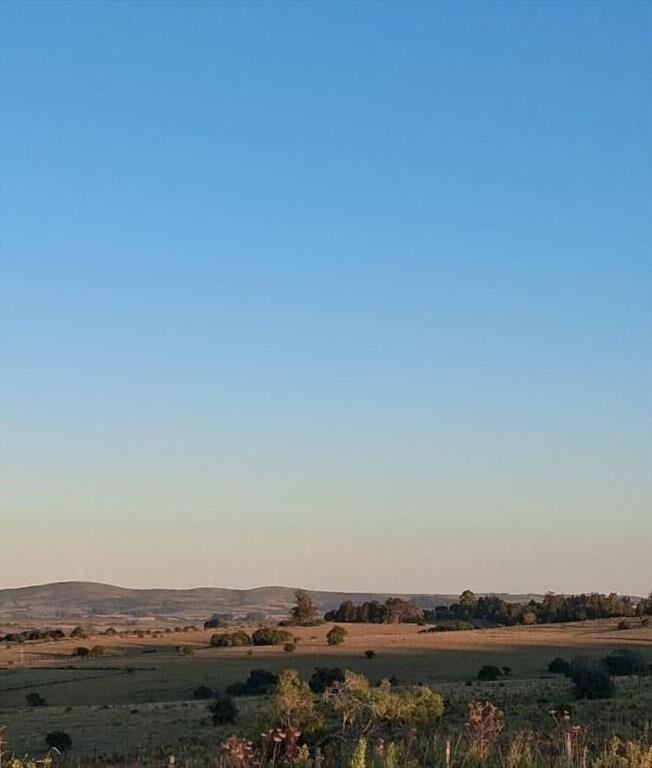Campo en San Carlos