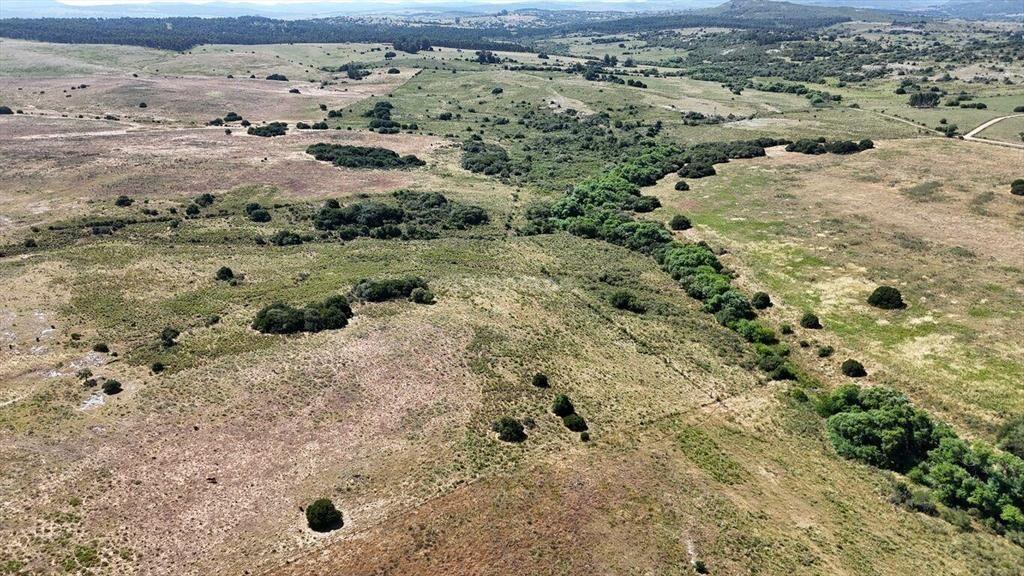 Campo Ganadero en Maldonado