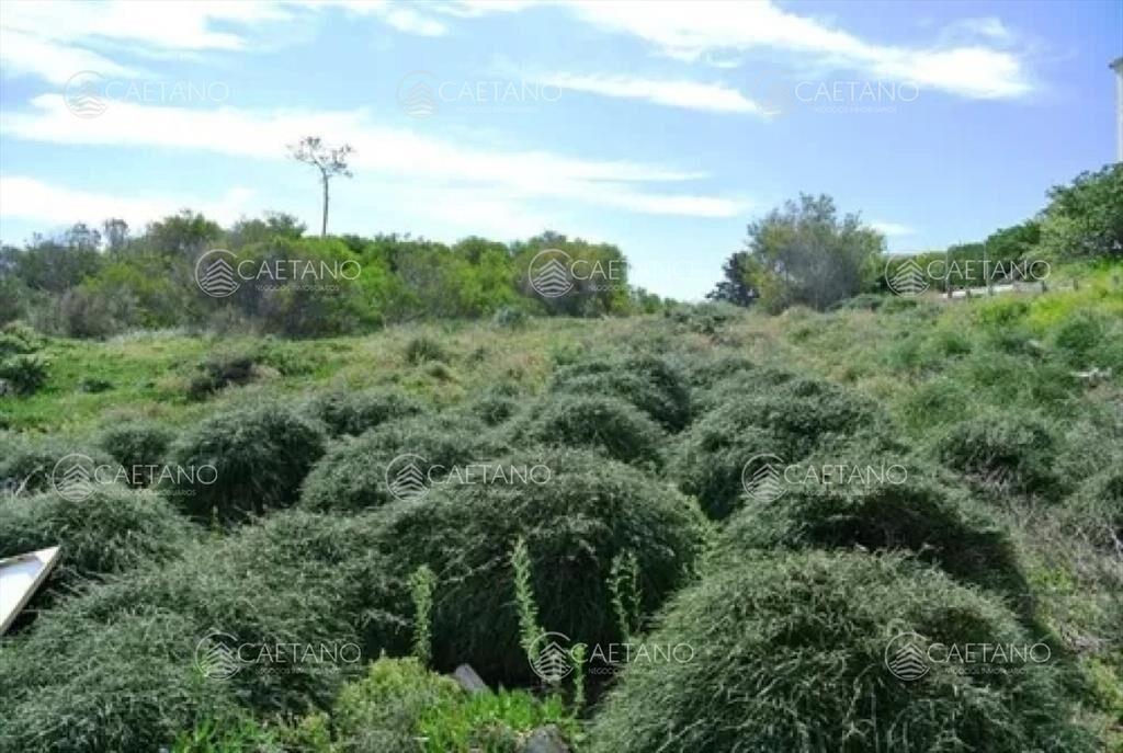 Venta terreno primera línea playa manas Punta