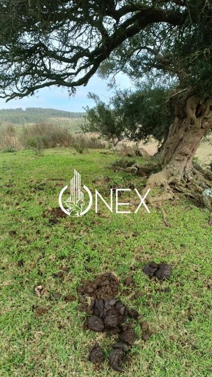 SE VENDE CHACRA DE 5 HA EN LAVALLEJA