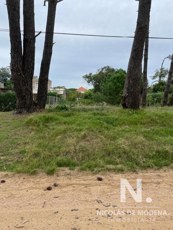 TERRENO EN MONTOYA