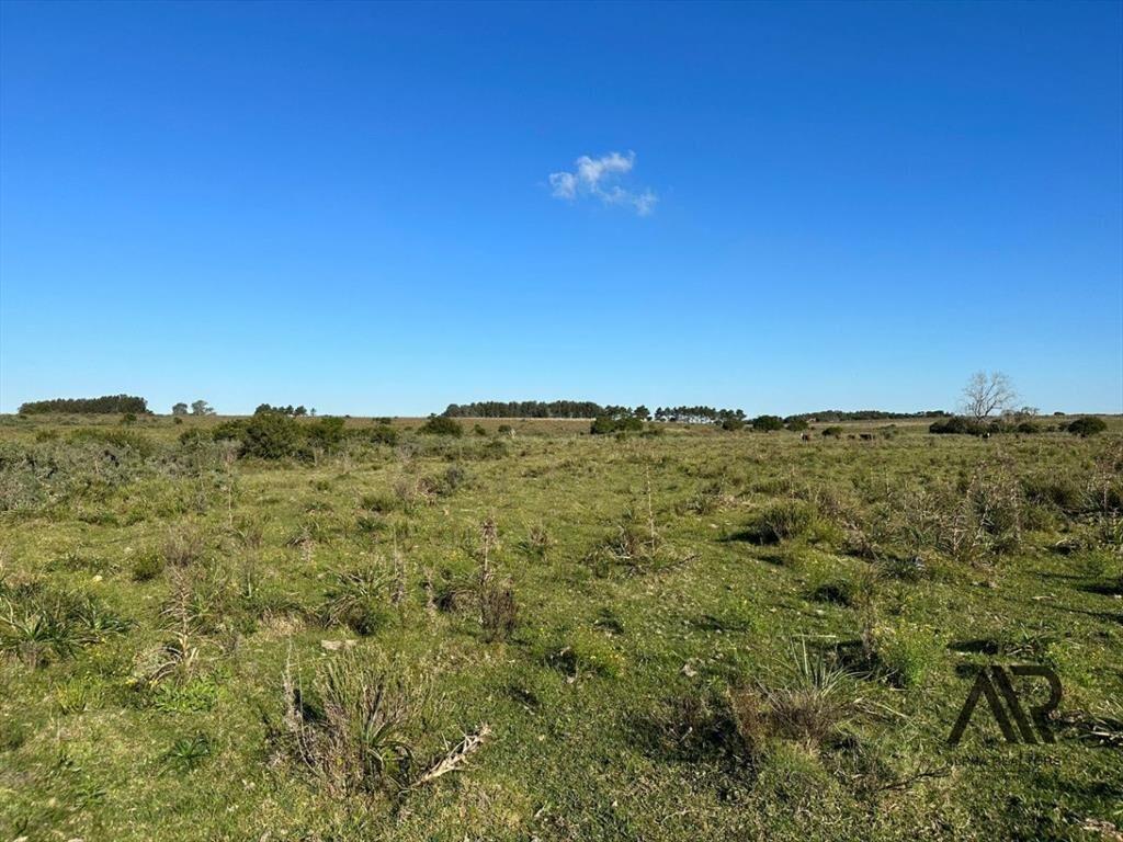 Chacra de 3 ha Laguna de José Ignacio, Maldonado/uruguay.