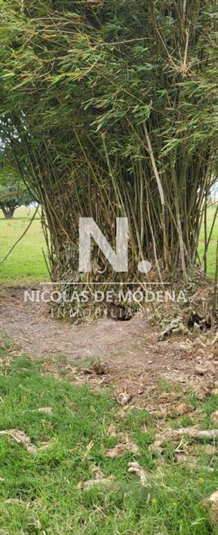 En venta campo en Treinta y Tres, ubicado a 12 de