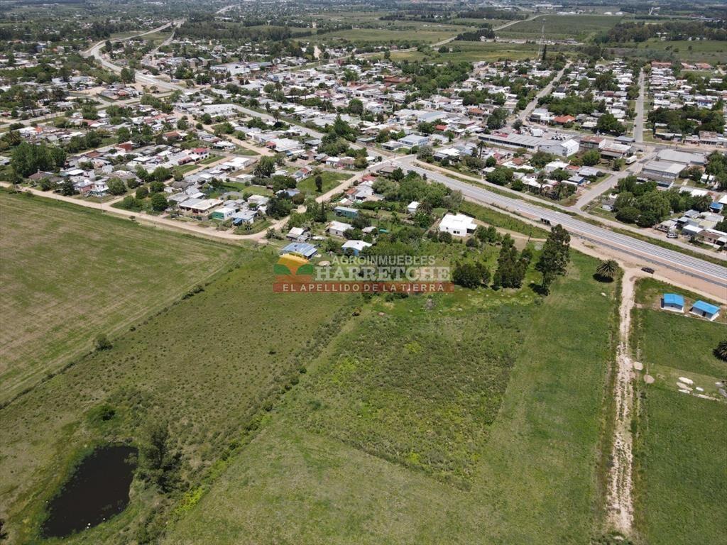 Terreno de 8000 m2 en Progreso, ideal