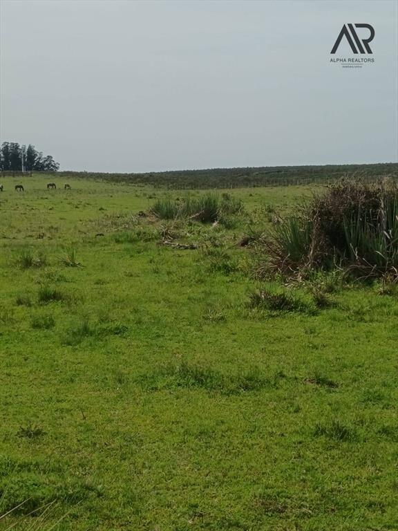 Chacra en venta de 10ha ubicado en San Carlos