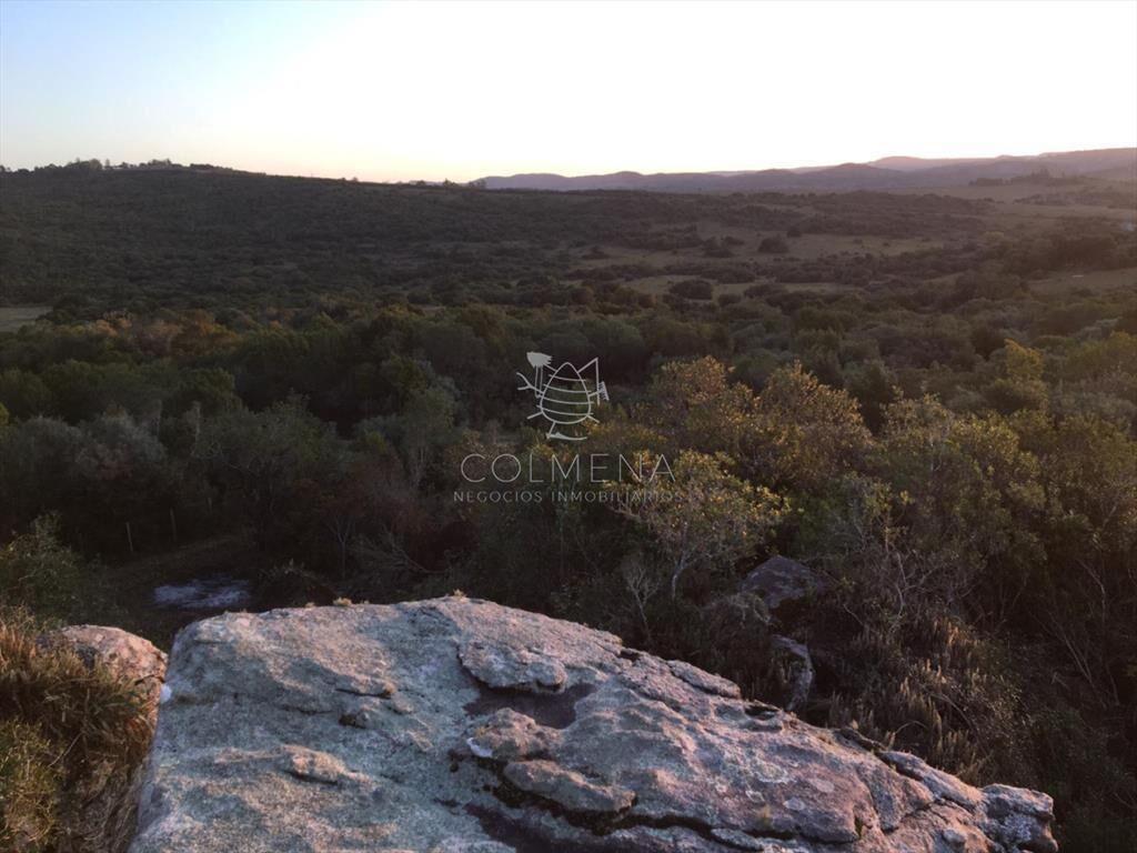 Campo 5 has con 333 m2 en paraje La Coronilla