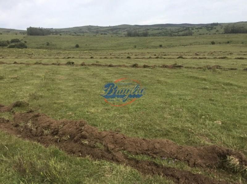 Chacra / Campo Venta en Punta del Este
