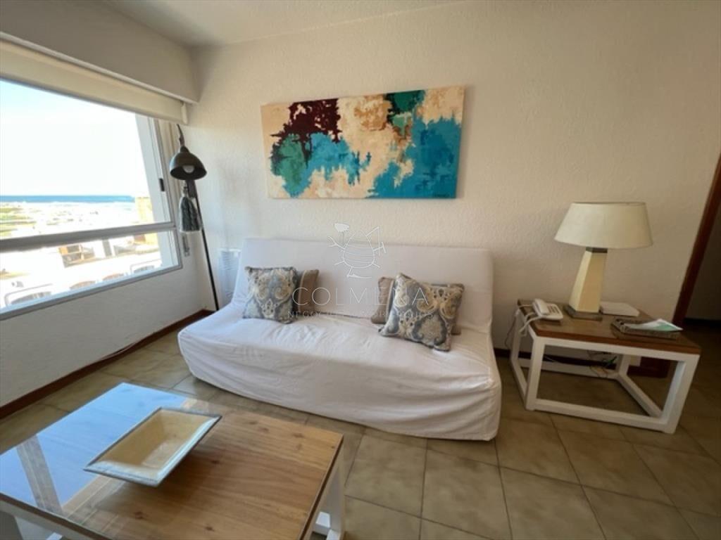 Hermoso apartamento 1 dormitorio con VISTA!