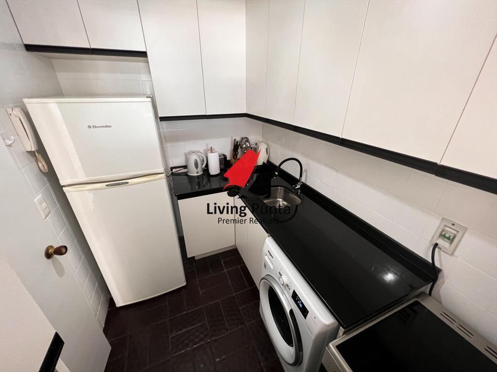 Alquiler apartamento 1 dormitorio y medio en del