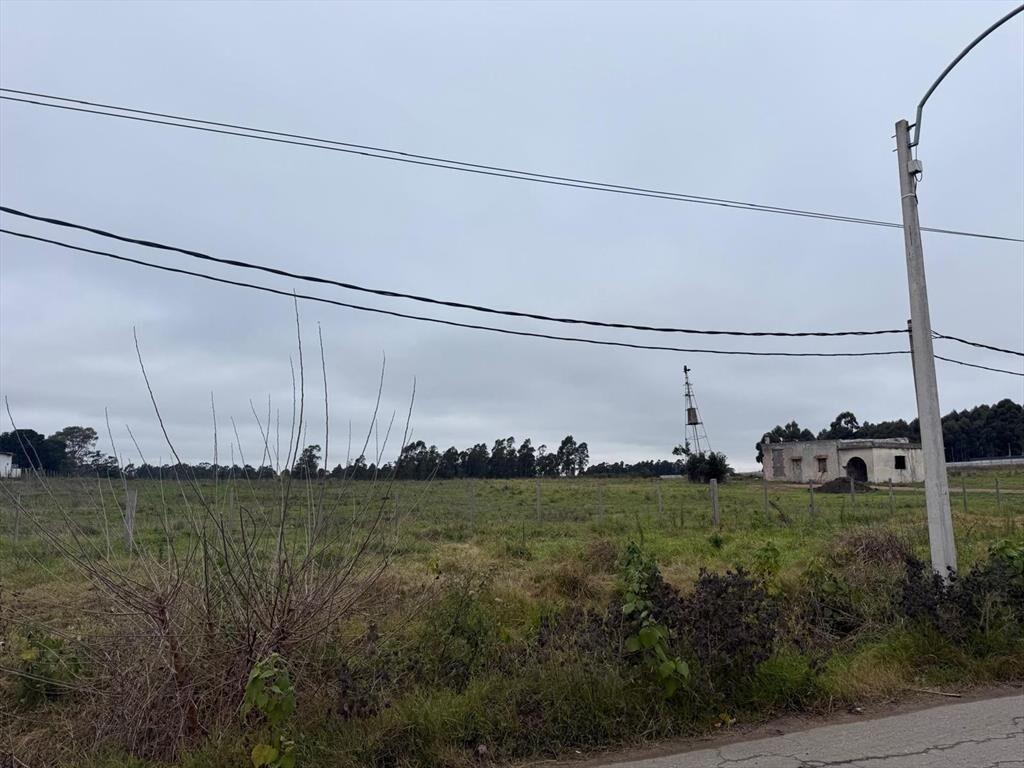 Venta Chacra Camino Gori 36400 metros