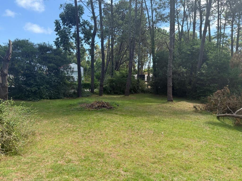 Terreno en Parque Burnett – 3076m²