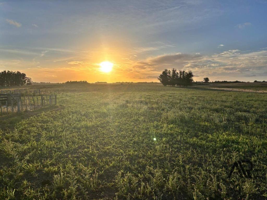 Chacra en venta de 21.5ha ubicado en San Carlos