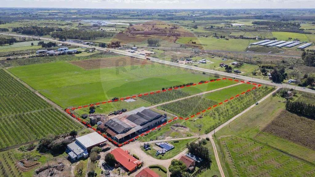 VENTA NAVE LOGÍSTICA SOBRE RUTA 5 CANELONES