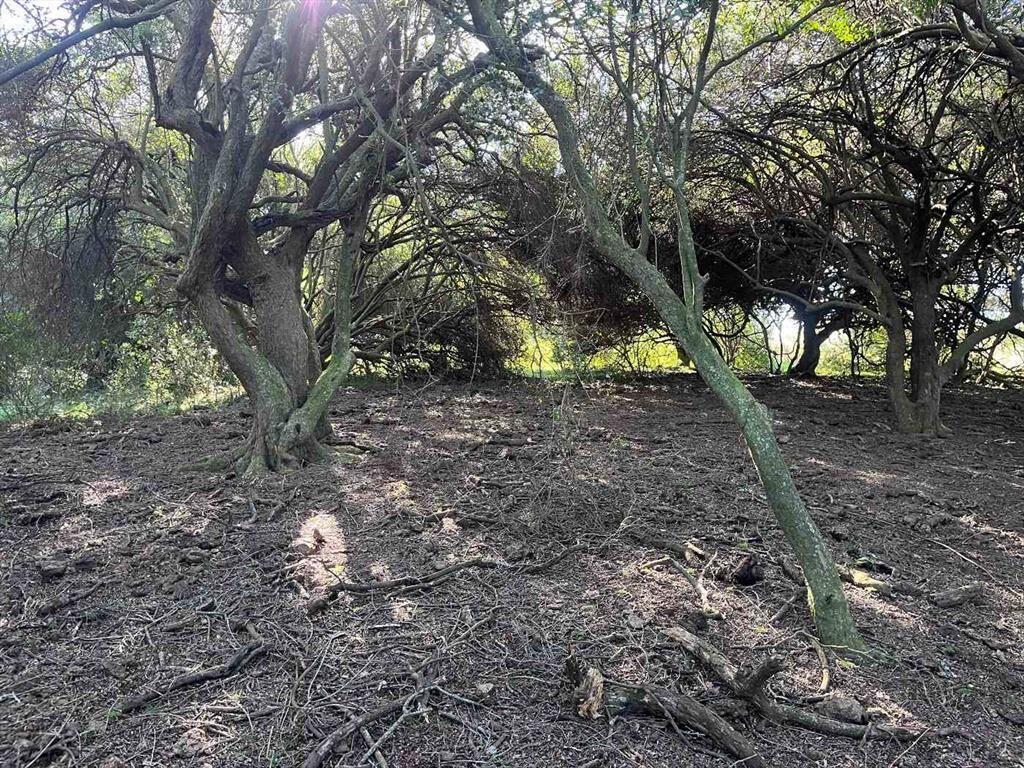 Campo en venta al norte de Garzón - Buen acceso