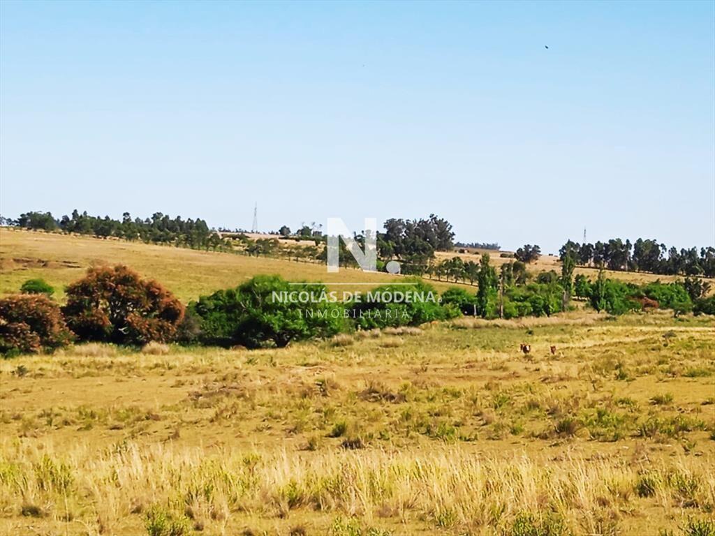 Campo en Jose Ignacio,