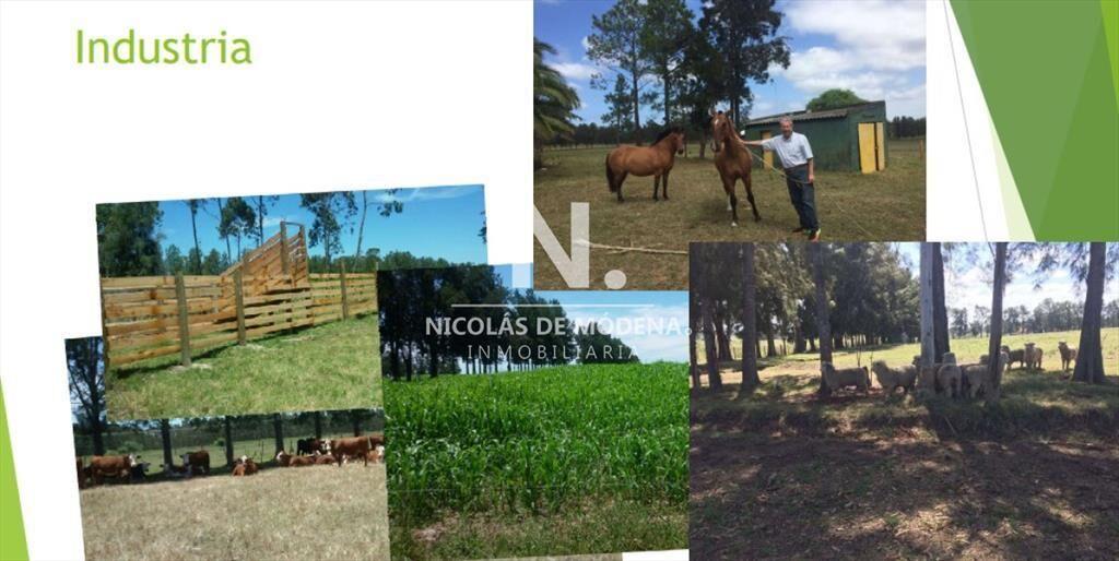 Chacra en venta, ruta 9