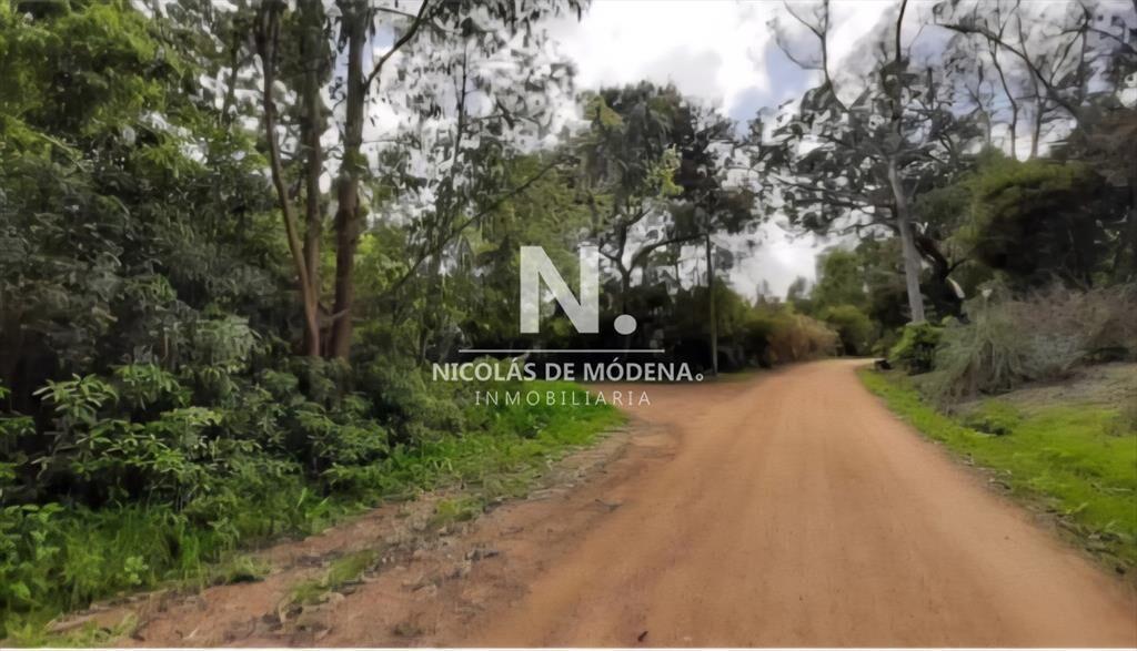 En venta 2 padrones de terreno en Laguna del