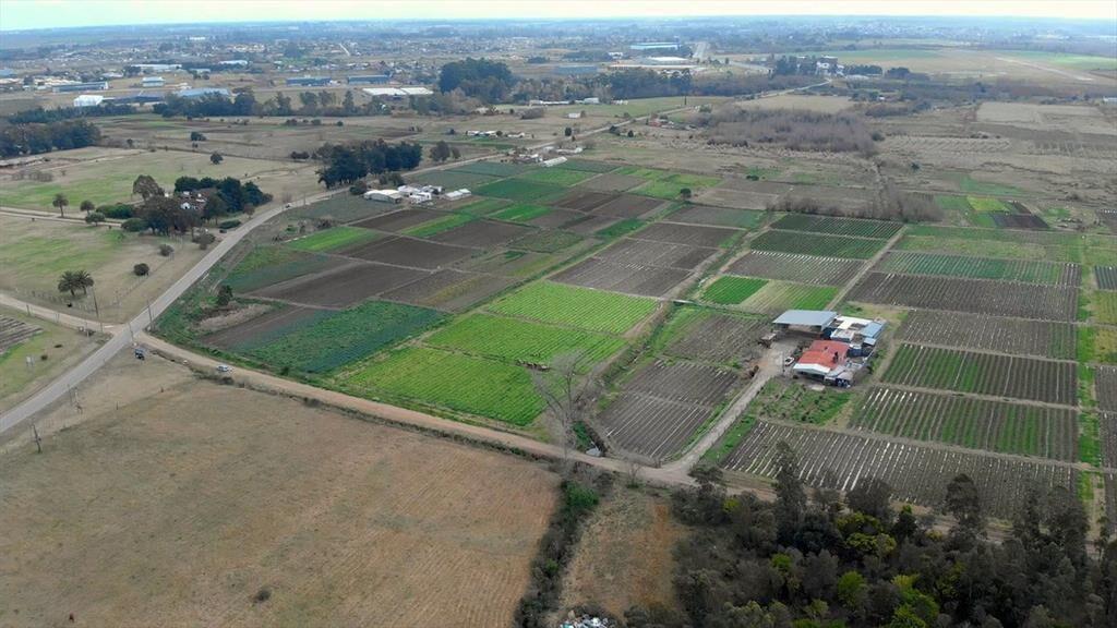Venta campo de 7 Ha. en Camino Los Horneros