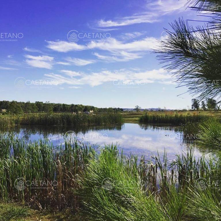 Venta terrenos zona torres Caracoles Ciudad