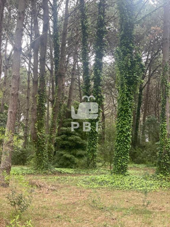 Venta lote a partir de 1000m2 Barrio Privado en  el Golf  -