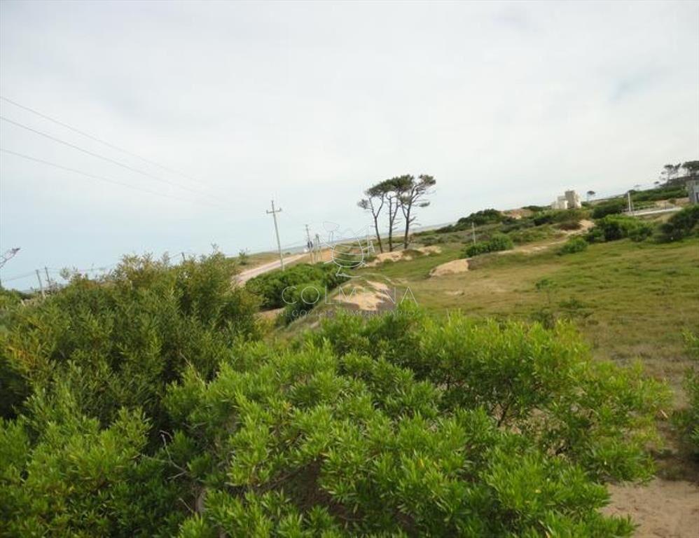 Terreno en Punta Ballena, Chihuahua