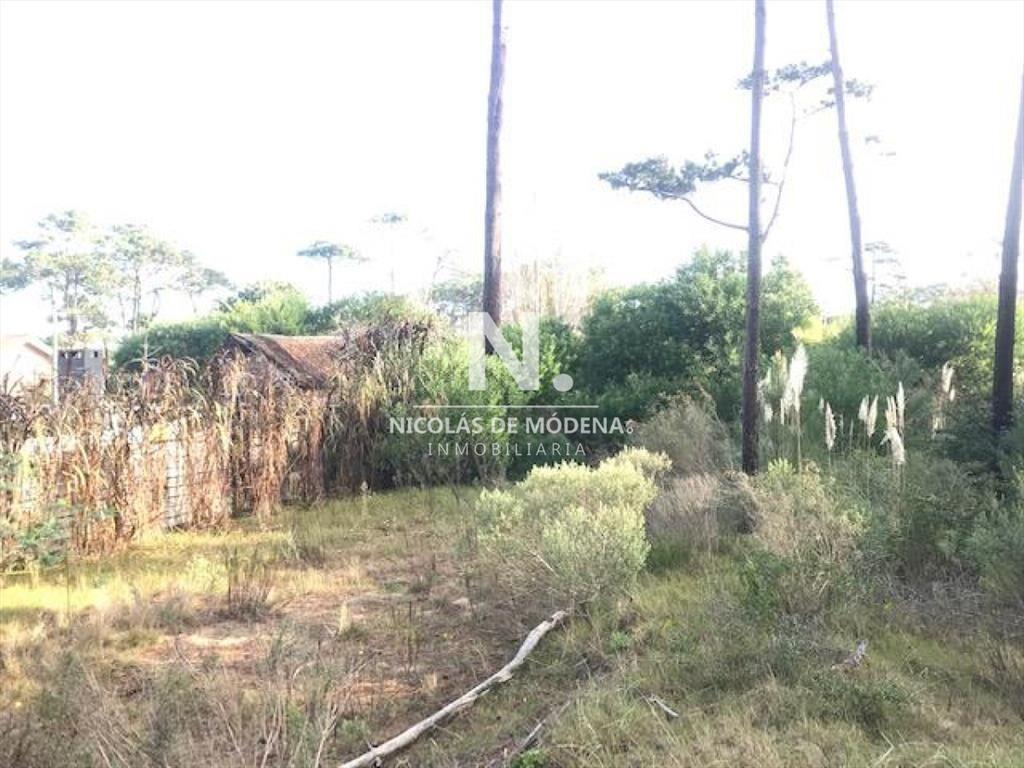 Terreno en Montoya en venta a pocas cuadras del