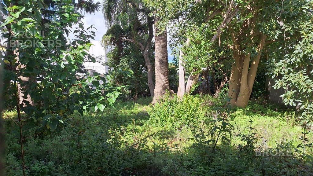 Casa en venta en Centro de Maldonado