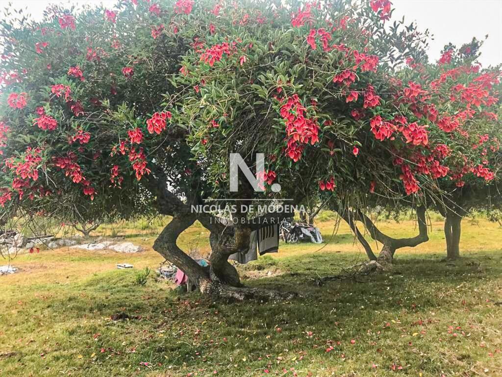 Hermosa finca en Sierras de Garzon.