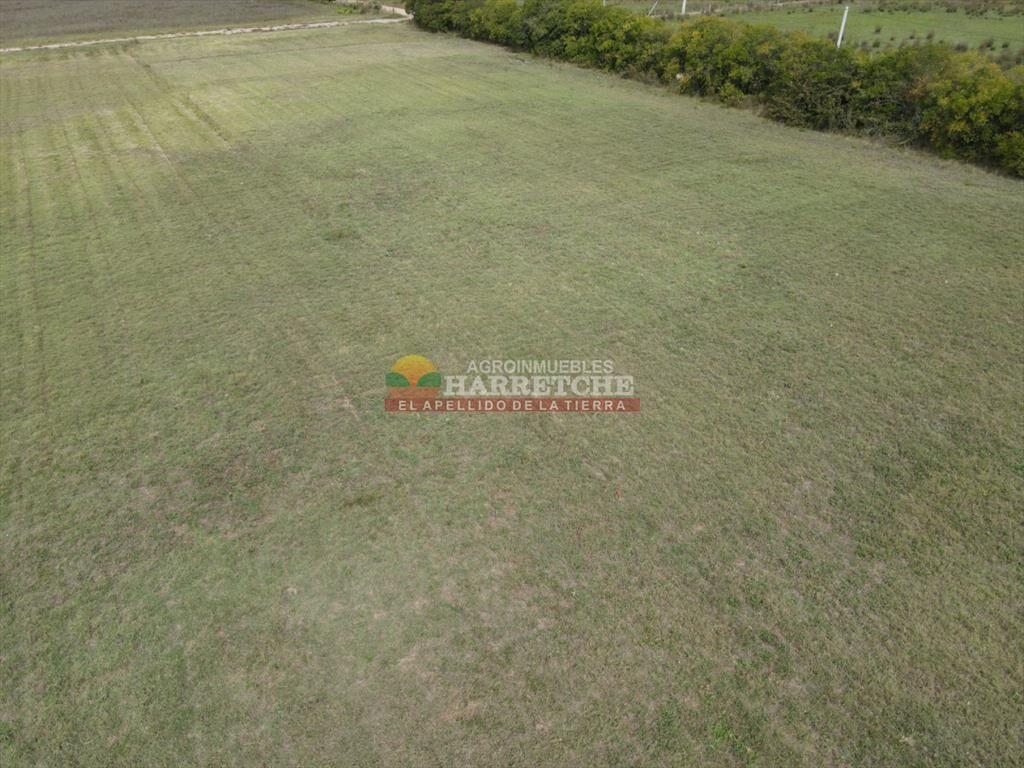 Terreno en Progreso, 360 m2 en Jardín de los (5)