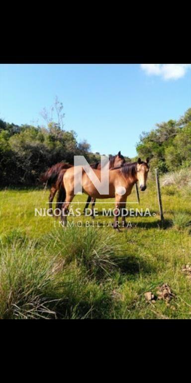 Campo en Maldonado , Aigua, 39 Hectáreas