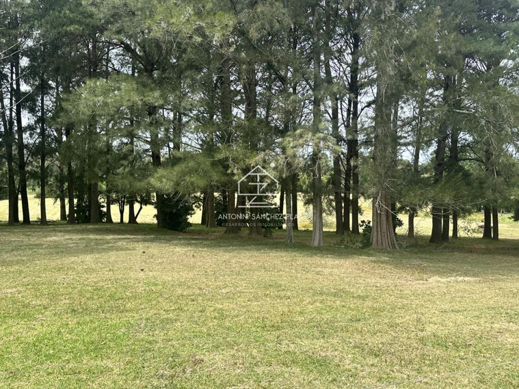 Venta chacra en punta Ballena