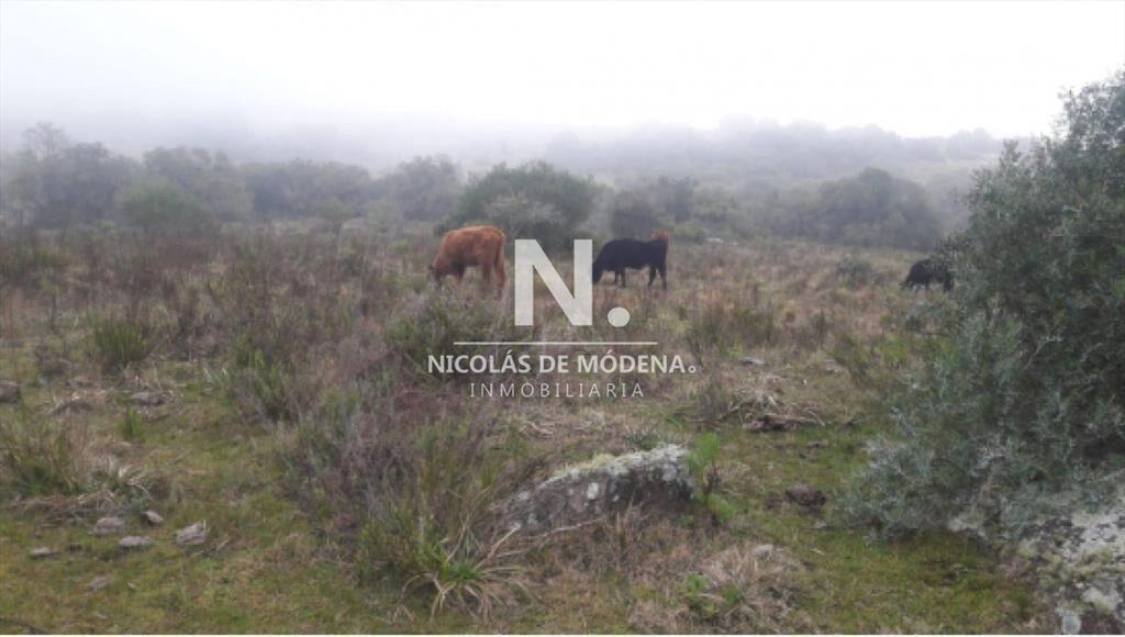 Campo Ganadero en Venta en Aigua