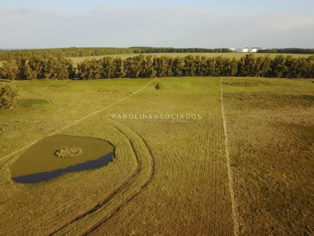 CHACRA 5 HECTAREAS, JOSÉ IGNACIO, PUNTA DEL ESTE