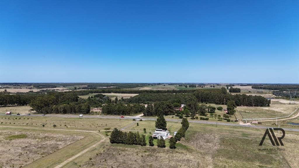 Campo en venta de 69ha ubicado en Atlántida