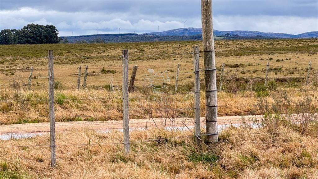 Campo de 3 has en Corte la leña