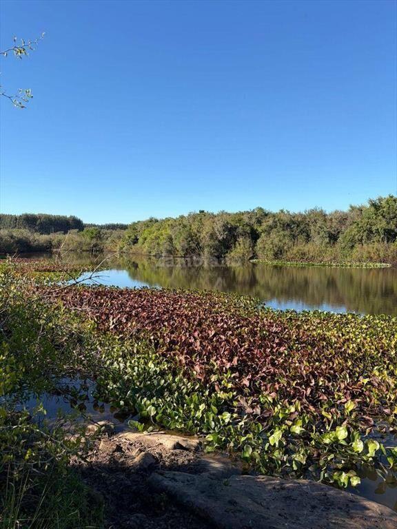 Venta Campo Durazno