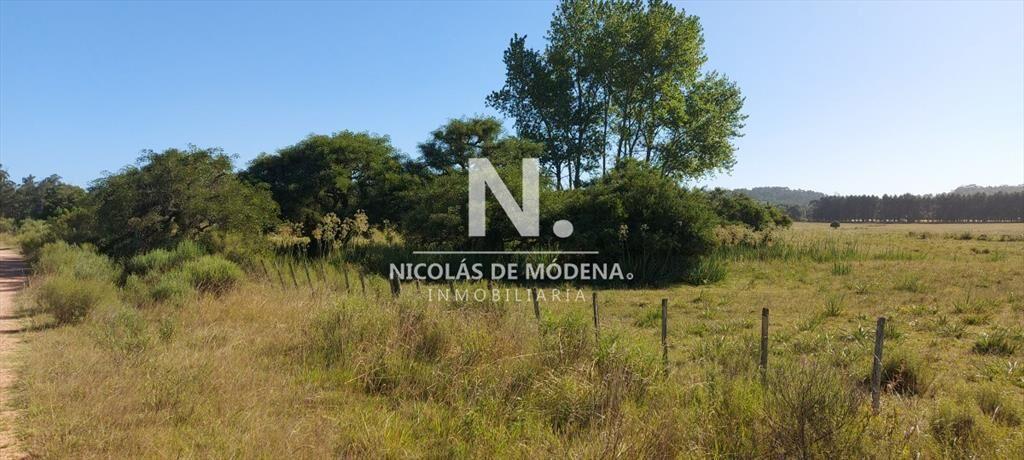 Venta fracción de campo en zona La Pataia
